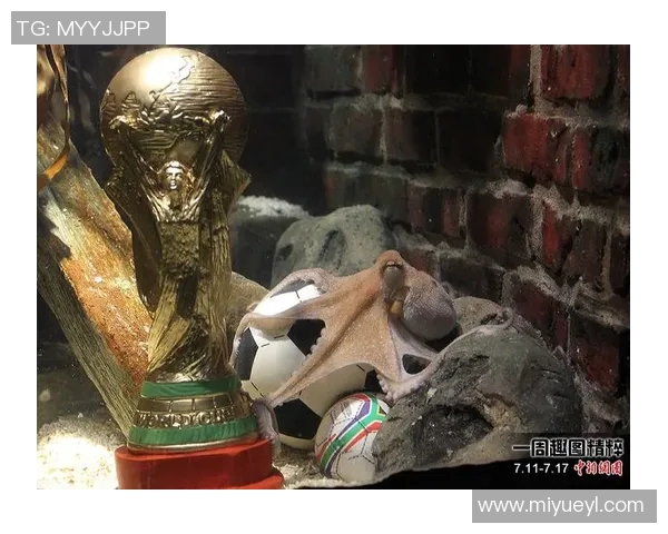 乌法与莫火车激战正酣比分揭晓精彩瞬间回顾与分析