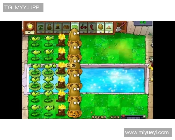 山口雷诺与赞起斧的巅峰对决谁能笑到最后